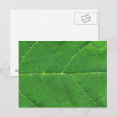 Makro Foto Leaf Postkarte (Vorne/Hinten)