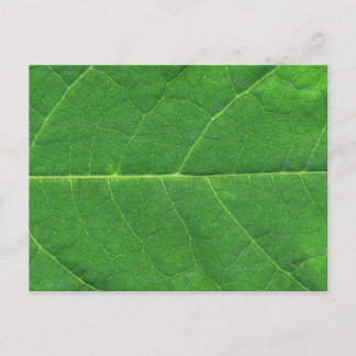 Makro Foto Leaf Postkarte