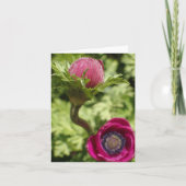 Makro-Foto mit einzigartiger fett rosa Blume auf l Dankeskarte (Vorderseite)