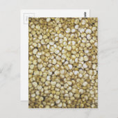 Makro-Foto Quinoa-Körner Postkarte (Vorne/Hinten)