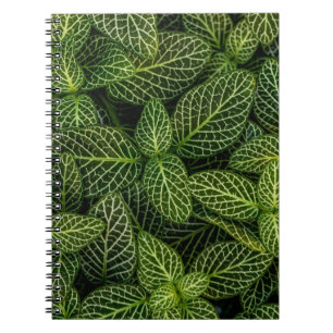 Makro-Foto von grün blättrigen Pflanze Notizblock