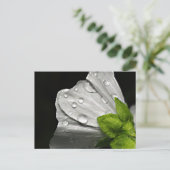 Makro-Foto-weiße Blume Postkarte (Stehend Vorderseite)