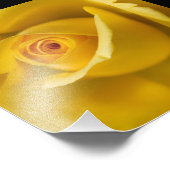 Makro-Gelbe Rose Fotodruck (Ecke)