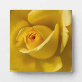 Makro-Gelbe Rose Fotoplatte