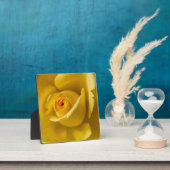 Makro-Gelbe Rose Fotoplatte (InSitu)