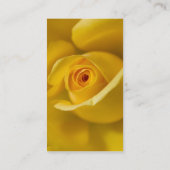 Makro gelbe Rose Visitenkarte (Rückseite)