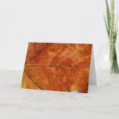 Makro Herbstleaf-Foto Karte (Vorderseite)