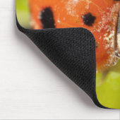 Makro; horizontal; Farbe; Farbe; Niemand 2 Mousepad (Ecke)