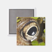 Makro; Horizontal; Farbe; Farbe; Niemand Magnet (Vorderseite/Rückseite)