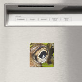 Makro; Horizontal; Farbe; Farbe; Niemand Magnet (In Situ (Geschirrspüler))