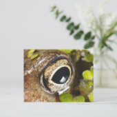 Makro; Horizontal; Farbe; Farbe; Niemand Postkarte (Stehend Vorderseite)