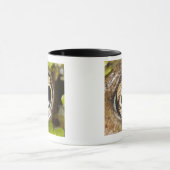 Makro; Horizontal; Farbe; Farbe; Niemand Tasse (Zentrum)