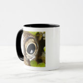 Makro; Horizontal; Farbe; Farbe; Niemand Tasse (Vorderseite Links)