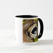 Makro; Horizontal; Farbe; Farbe; Niemand Tasse (VorderseiteRechts)