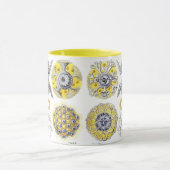 Makro-Meereslebewesen Amoeba Tasse (Zentrum)