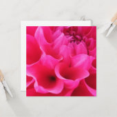 Makro Nah-up Delilah-Blume Karte (Vorderseite/Rückseite Beispiel)