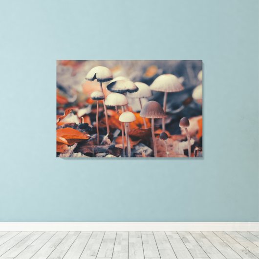 Makro-Pilze Leinwanddruck (Insitu (Holzboden))