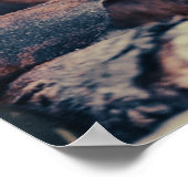 Makro-Pilze Poster (Ecke)