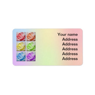 Makro-Rainbow-Rose Hochzeitadresse Adressaufkleber
