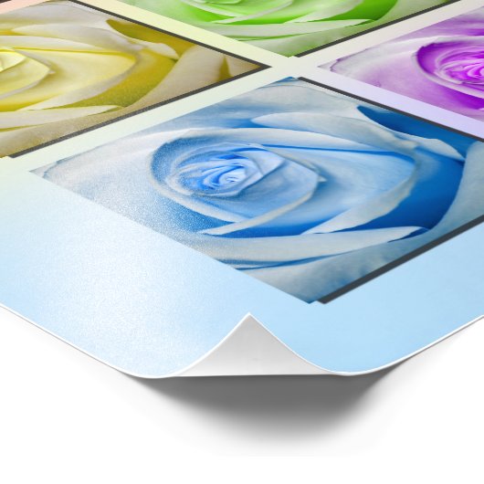 Makro Rainbow Rose Portrait Fotodruck (Ecke)