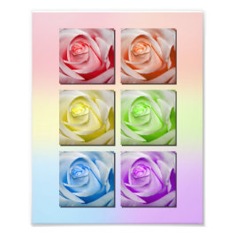 Makro Rainbow Rose Portrait Fotodruck