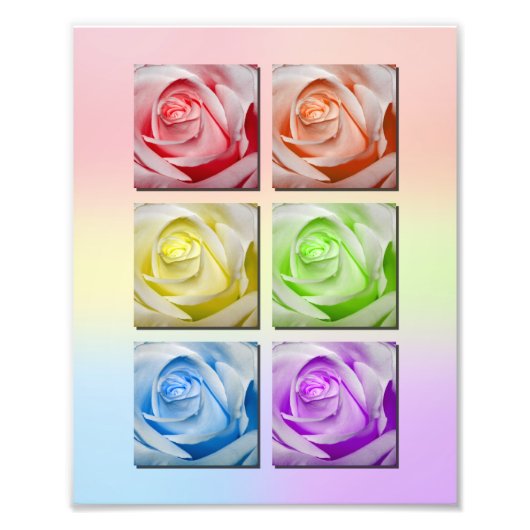 Makro Rainbow Rose Portrait Fotodruck (Vorne)