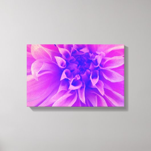 Makro-Rosa-Blume Leinwanddruck (Vorderseite)