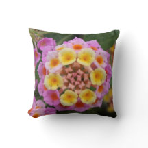 Makro: Rosa und gelbe Lantana-Blume