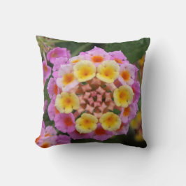 Makro: Rosa und gelbe Lantana-Blume Kissen