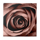 Makro-Rose Fliese (Vorderseite)