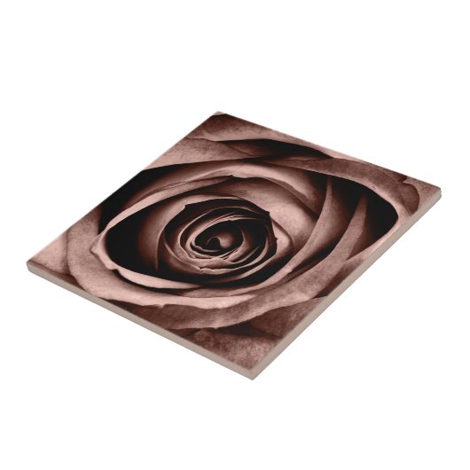 Makro-Rose Fliese (Seite)