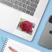 Makro Rote Rose Aufkleber (Laptop mit iPhone)