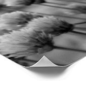 Makro-Scallions Schwarz-weiß drucken Poster (Ecke)