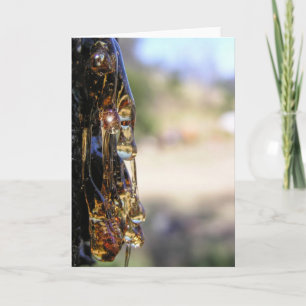 Makro: Tree Sap Liquid Diamonds Card Karte