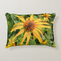 Makro von falschen Sonnenblumen