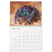 Makro-Wanzen Wandkalender (Mär 2027)