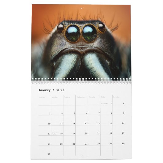 Makro-Wanzen Wandkalender (Jan 2027)