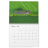 Makro-Wanzen Wandkalender (Feb 2027)