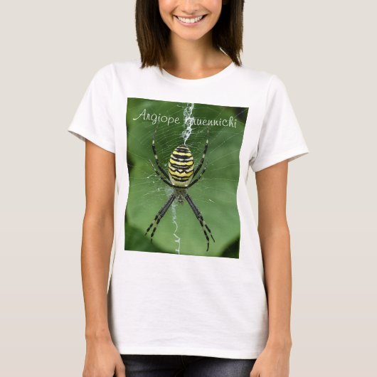 Makro Wasp Spider T - Shirt (Vorderseite)