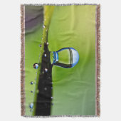 Makro-Wassertropfen Decke (Vorderseite Vertikal)