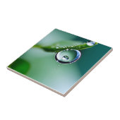 Makro-Wassertropfen Fliese (Seite)