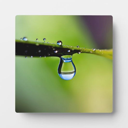 Makro-Wassertropfen Fotoplatte (Vorderseite)