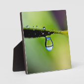 Makro-Wassertropfen Fotoplatte (Vorderseite)