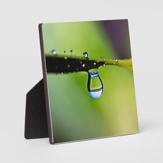 Makro-Wassertropfen Fotoplatte (Vorderseite)