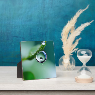 Makro-Wassertropfen Fotoplatte