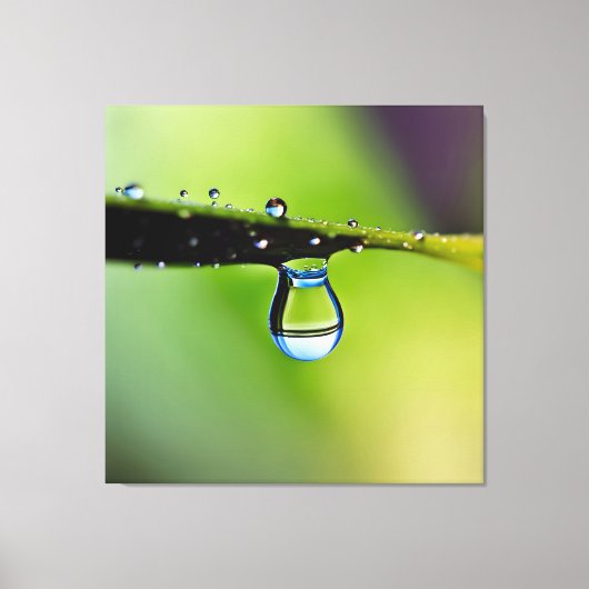 Makro-Wassertropfen Leinwanddruck (Vorderseite)