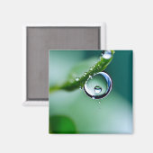 Makro-Wassertropfen Magnet (Vorderseite/Rückseite)