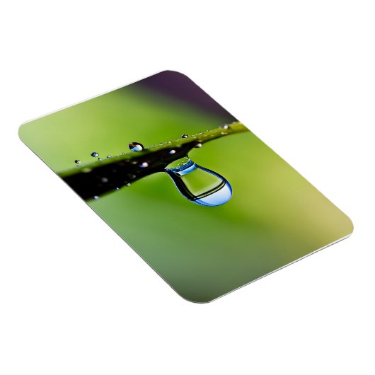 Makro-Wassertropfen Magnet (Rechte Seite)