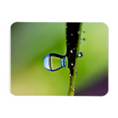 Makro-Wassertropfen Magnet (Horizontal)