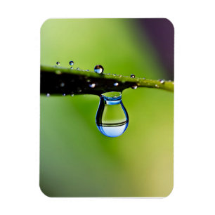 Makro-Wassertropfen Magnet